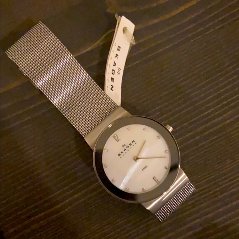 Skagen Steel Watch